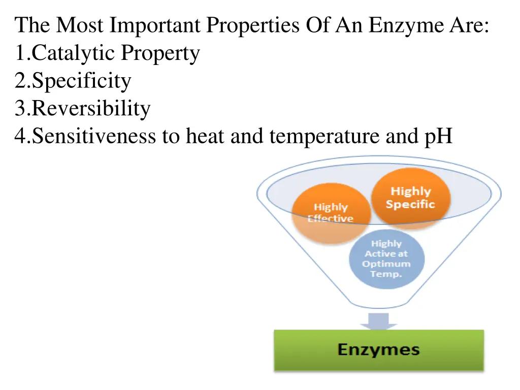 the most important properties of an enzyme