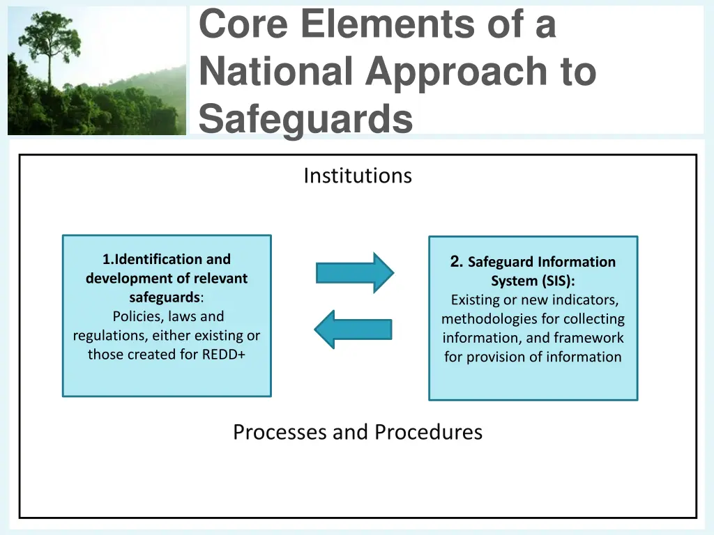 core elements of a national approach to safeguards