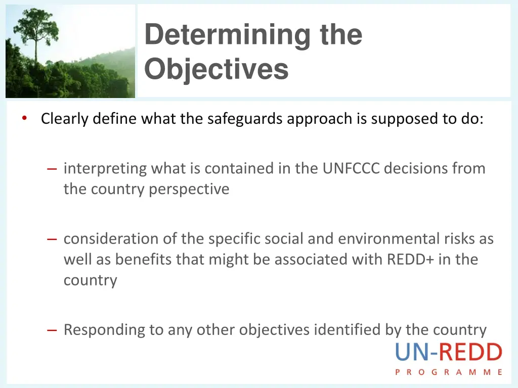 determining the objectives