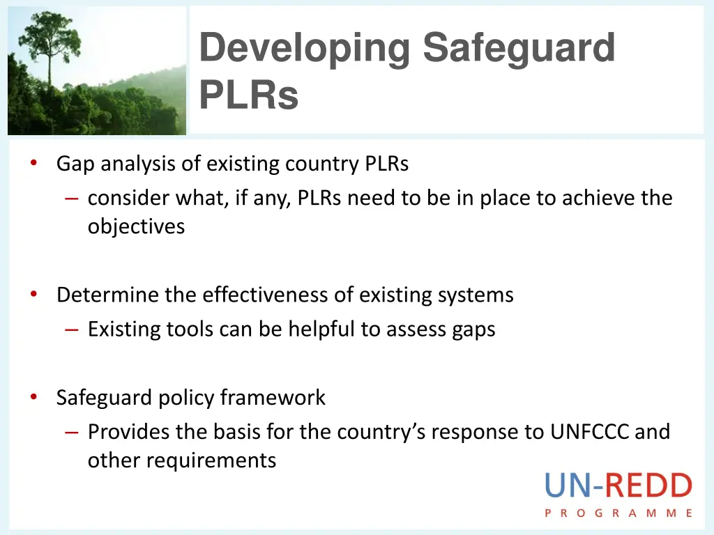 developing safeguard plrs