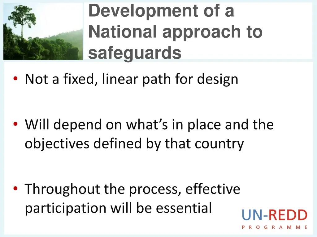 development of a national approach to safeguards