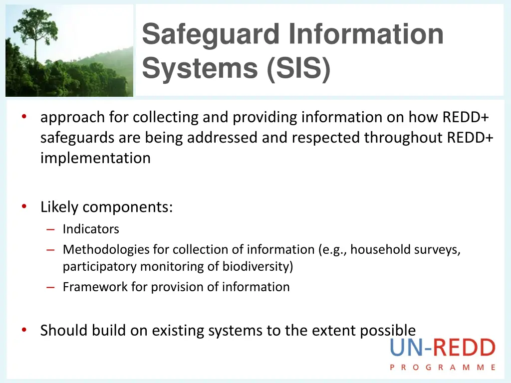 safeguard information systems sis