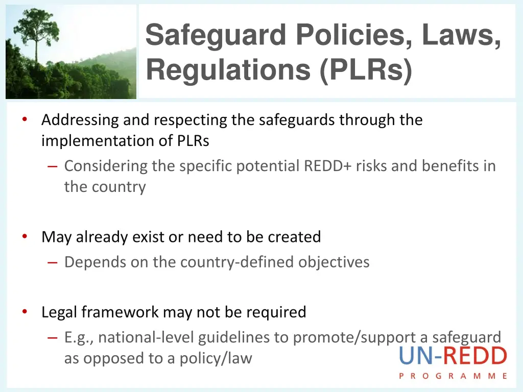 safeguard policies laws regulations plrs