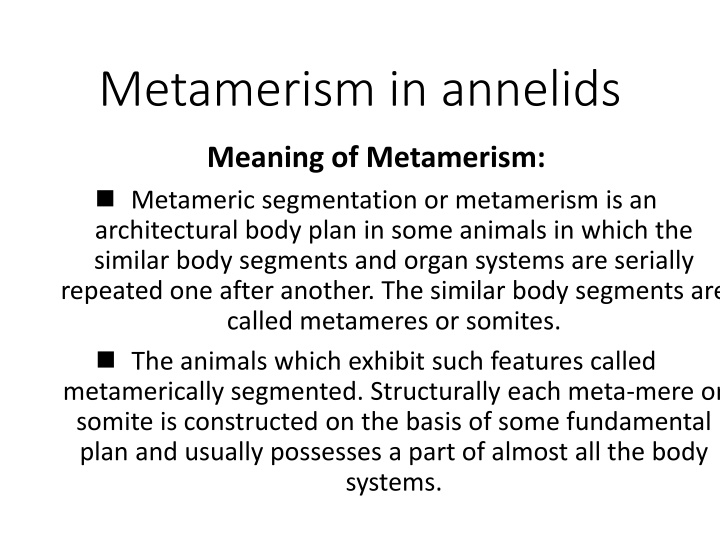 metamerism in annelids