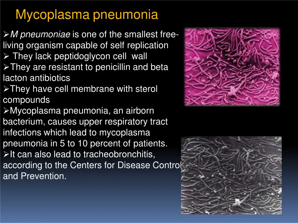 mycoplasma pneumonia