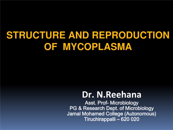 structure and reproduction of mycoplasma