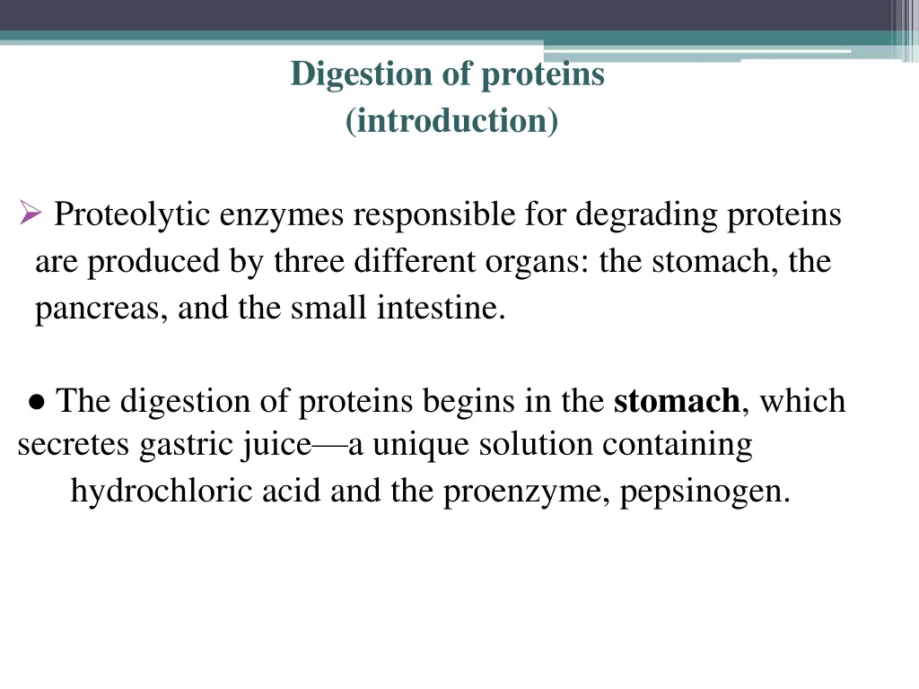 digestion of proteins introduction