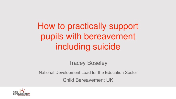 how to practically support pupils with