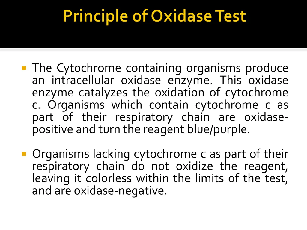 the cytochrome containing organisms produce