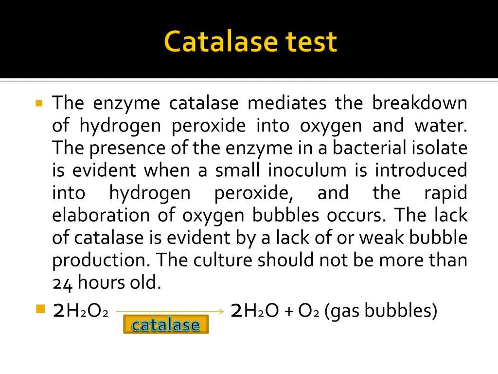 the enzyme catalase mediates the breakdown