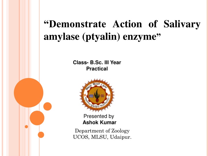 demonstrate action of salivary amylase ptyalin