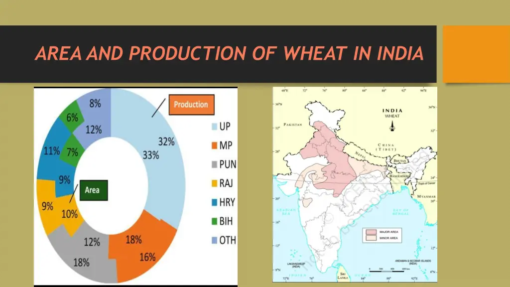 area and production of wheat in india