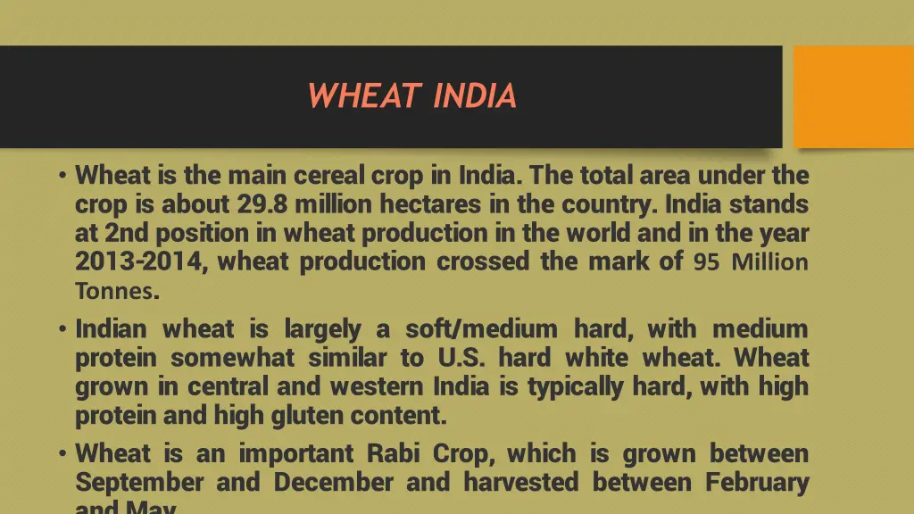 wheat india