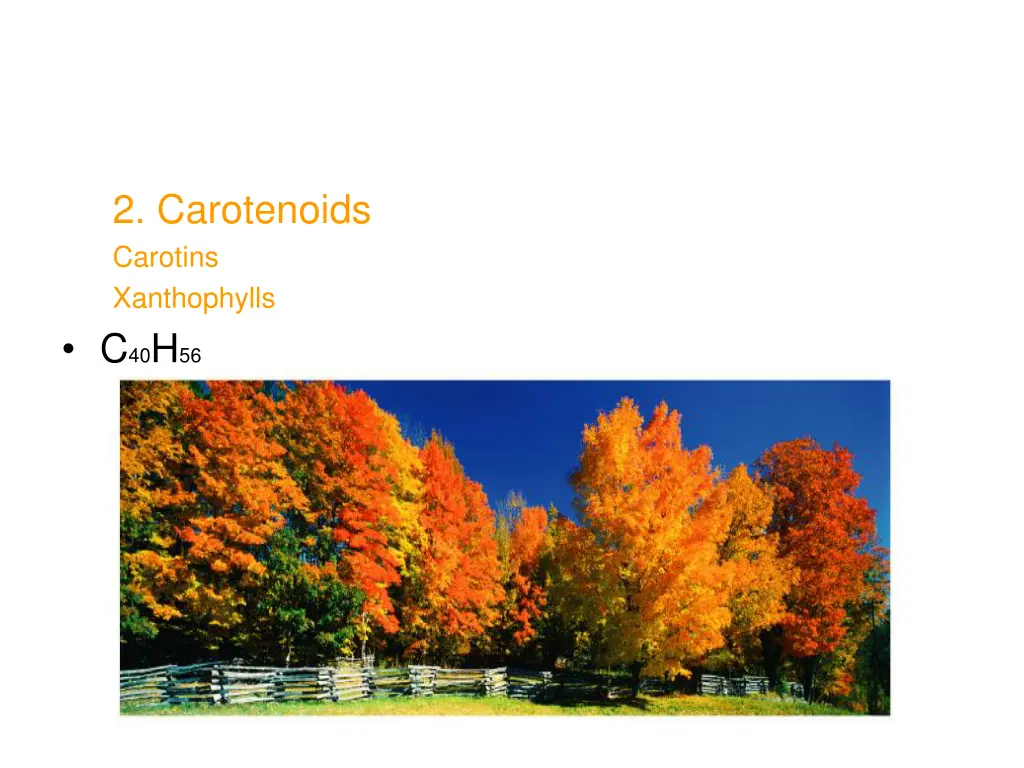 2 carotenoids carotins xanthophylls c 40 h 56