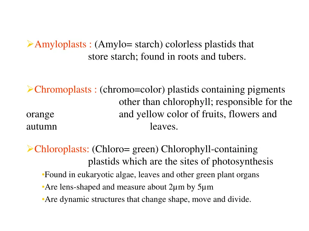 amyloplasts amylo starch colorless plastids that