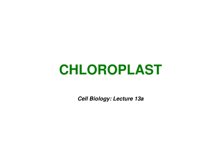 chloroplast