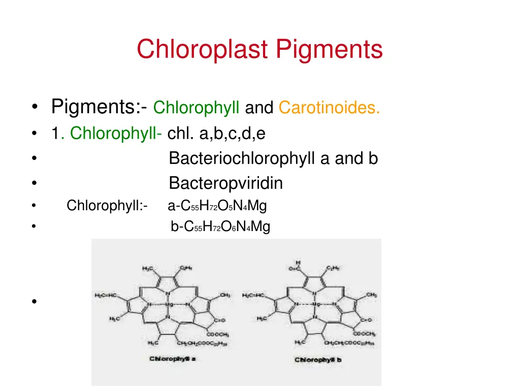 chloroplast pigments