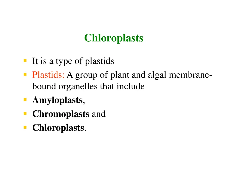 chloroplasts