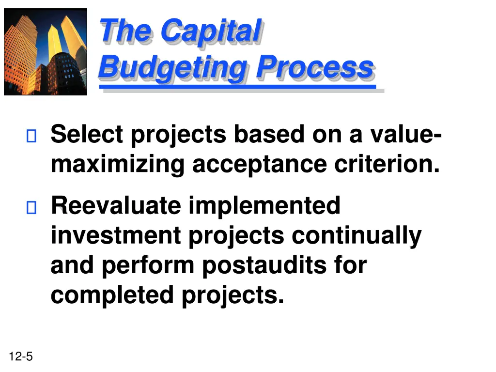 the capital budgeting process 1