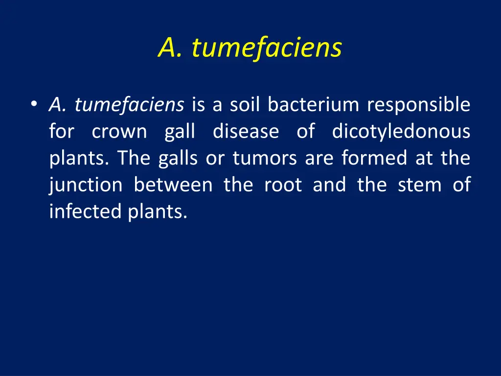 a tumefaciens