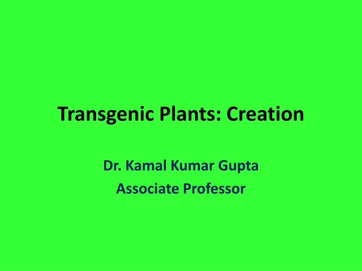 transgenic plants creation