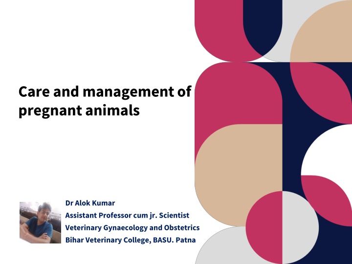 care and management of pregnant animals