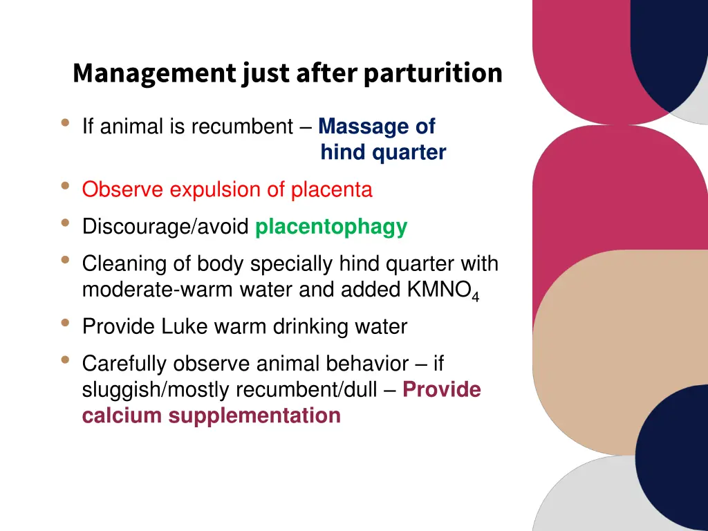 management just after parturition if animal