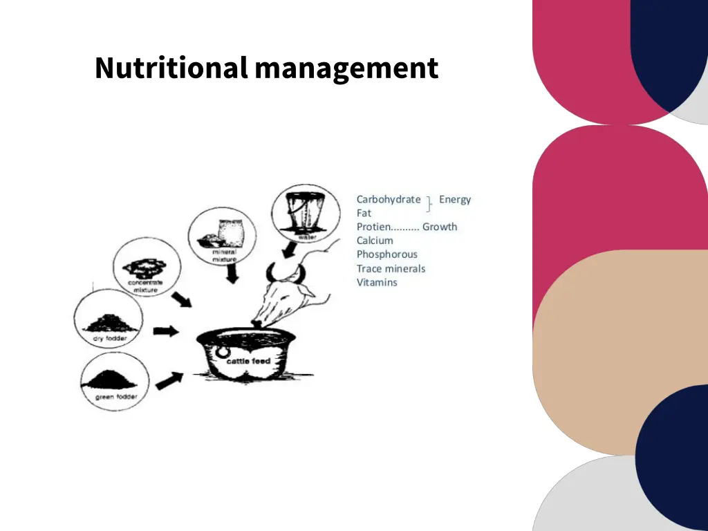 nutritional management