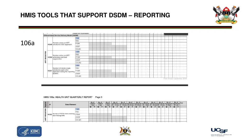 hmis tools that support dsdm reporting