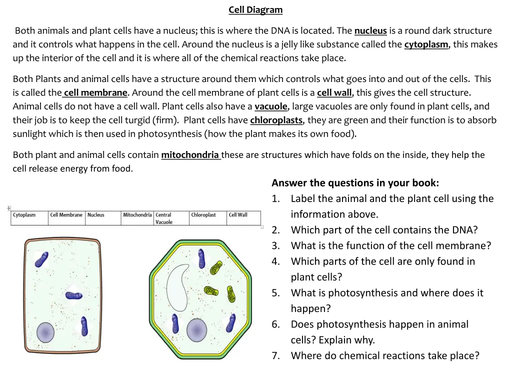 cell diagram