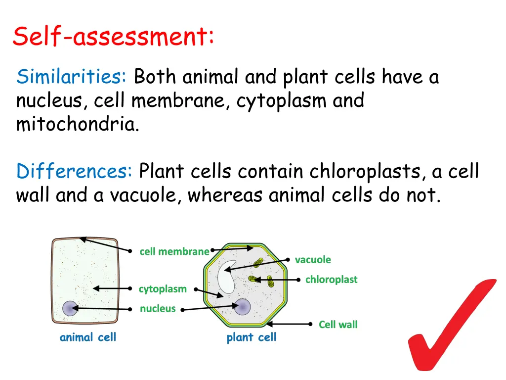 self assessment 1