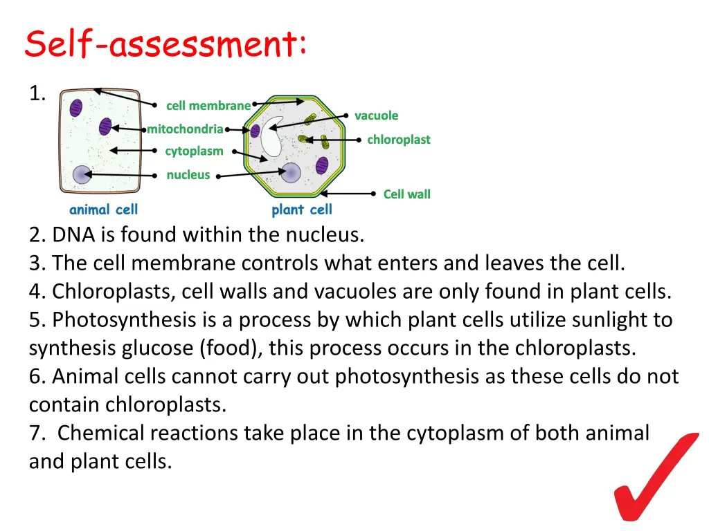 self assessment 2