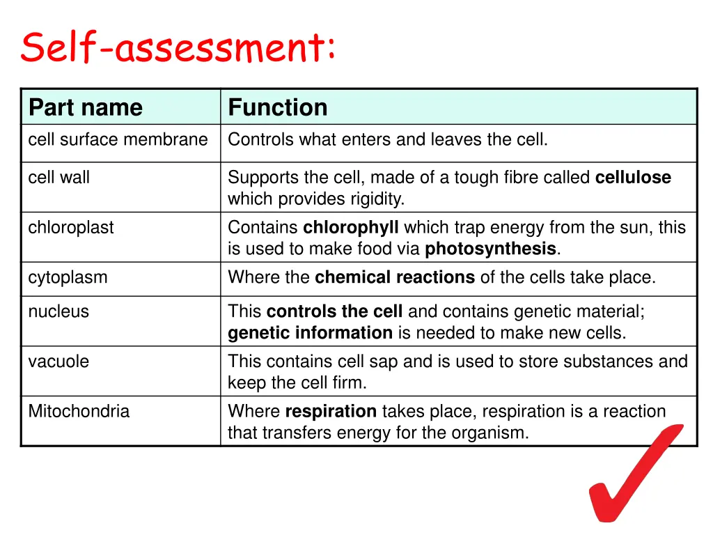 self assessment 3