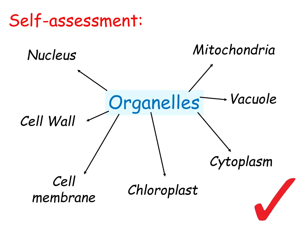 self assessment