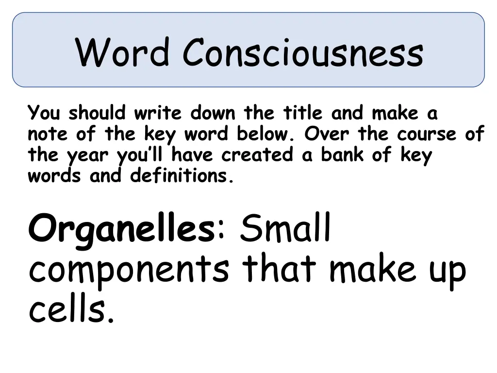 word consciousness