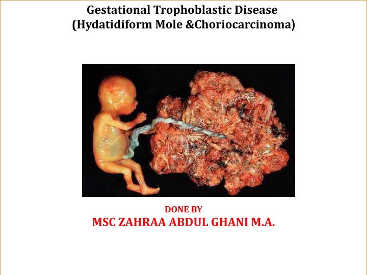 gestational trophoblastic disease hydatidiform