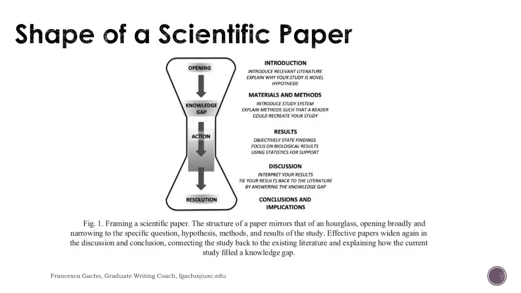 shape of a scientific paper