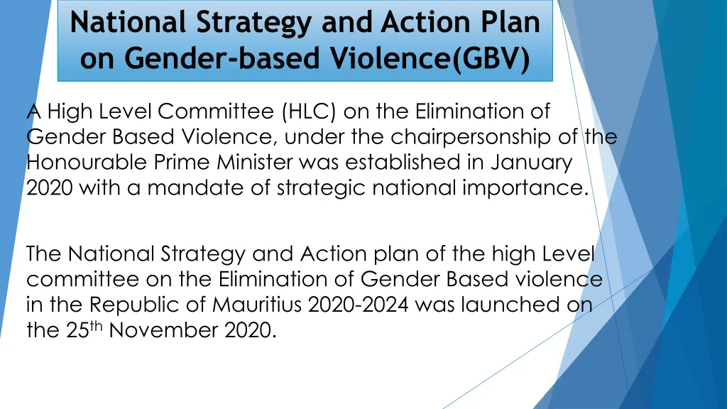 national strategy and action plan on gender based