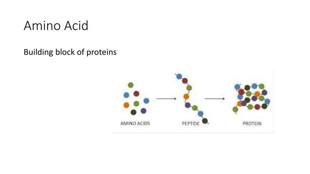 amino acid