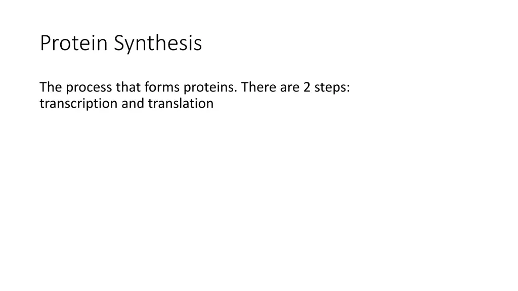 protein synthesis