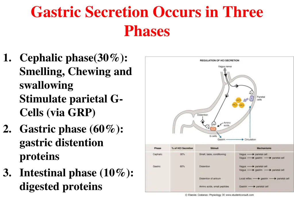 gastric secretion occurs in three phases 1