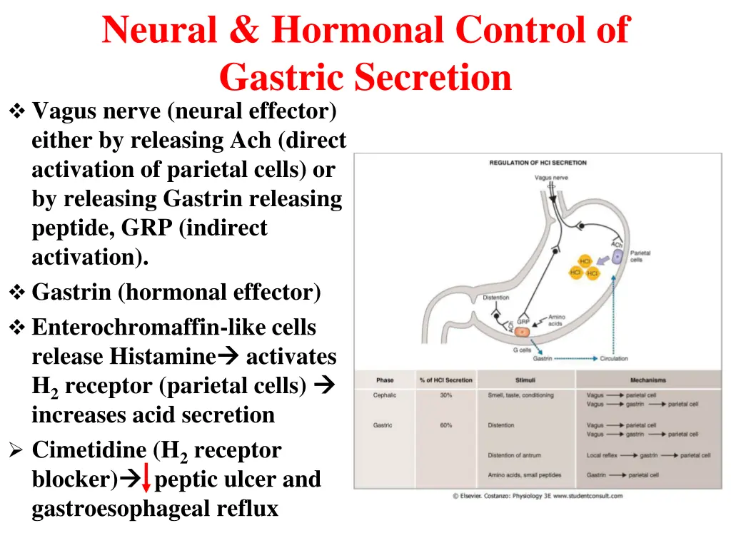 neural hormonal control of gastric secretion