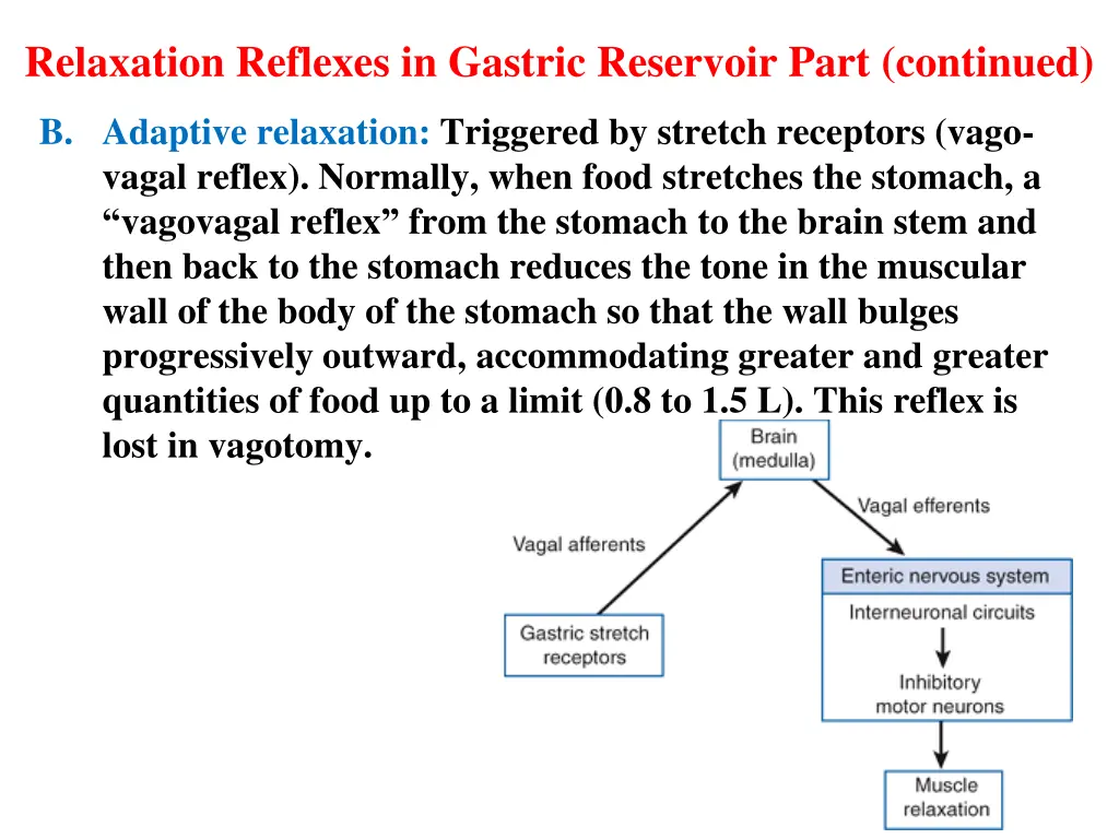 relaxation reflexes in gastric reservoir part 1