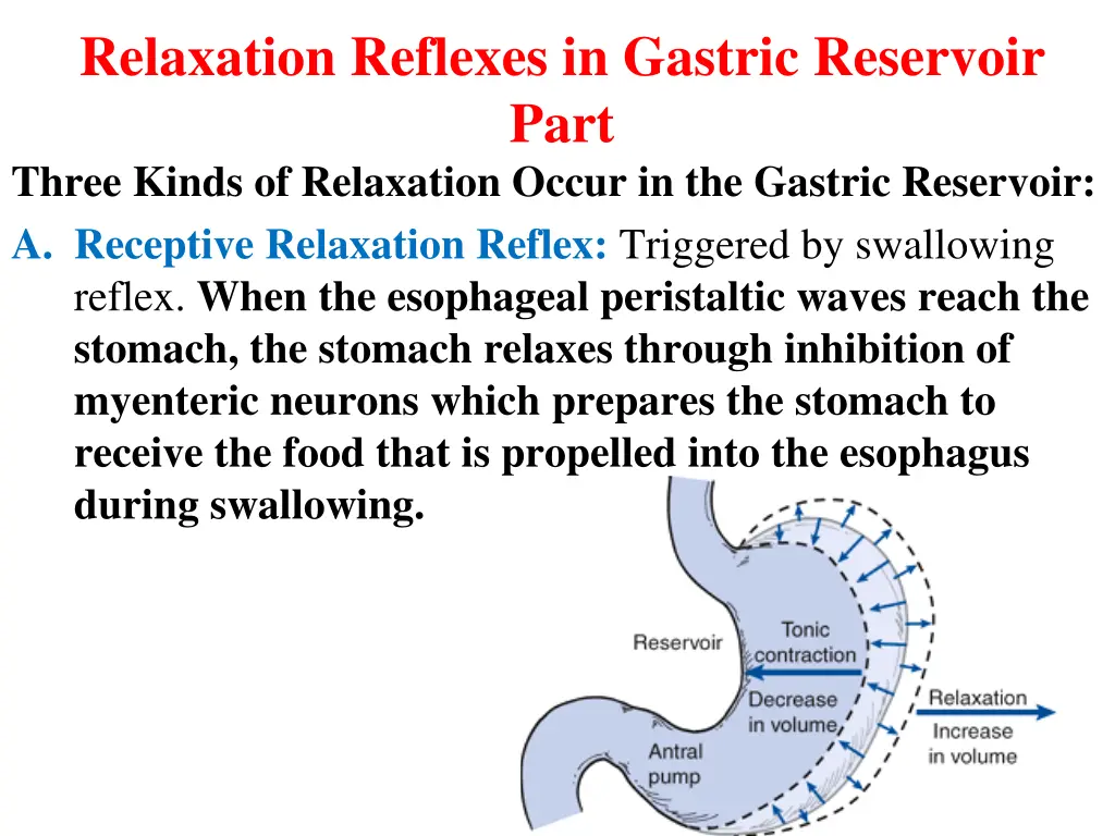 relaxation reflexes in gastric reservoir part