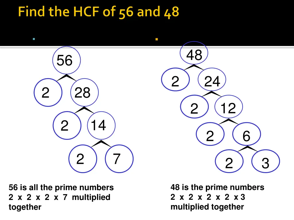 prime factor tree for 56