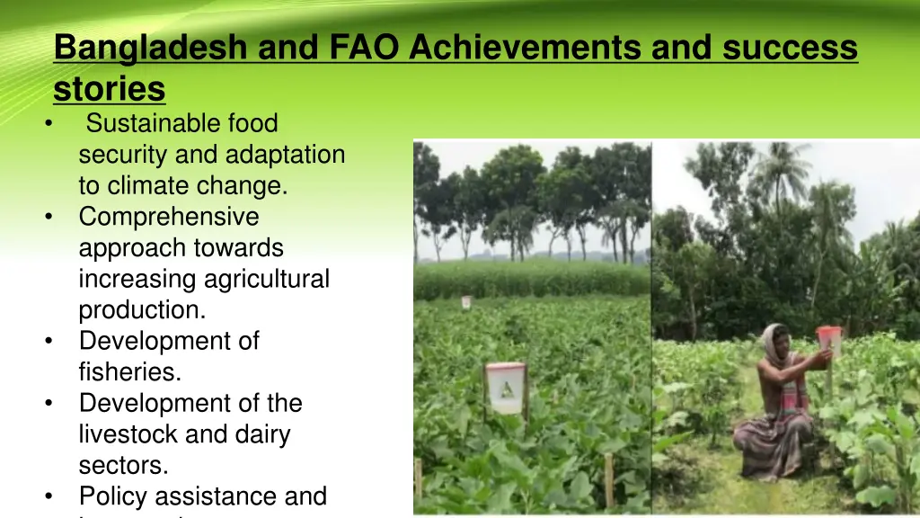 bangladesh and fao achievements and success