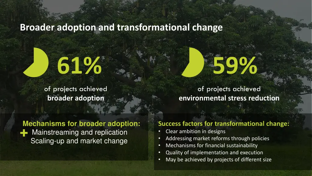 broader adoption and transformational change