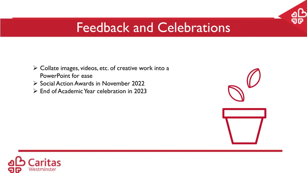 feedback and celebrations