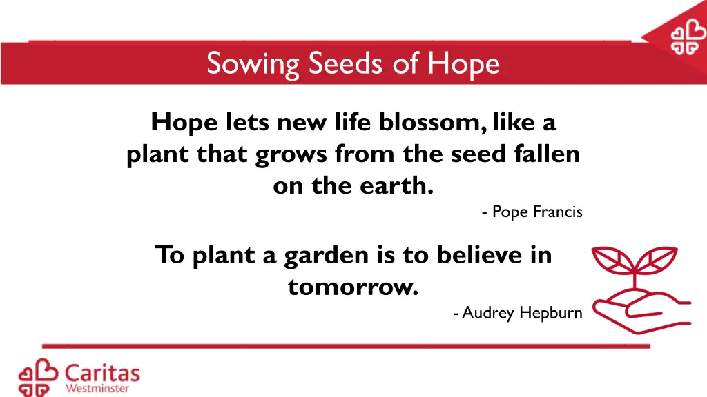 sowing seeds of hope