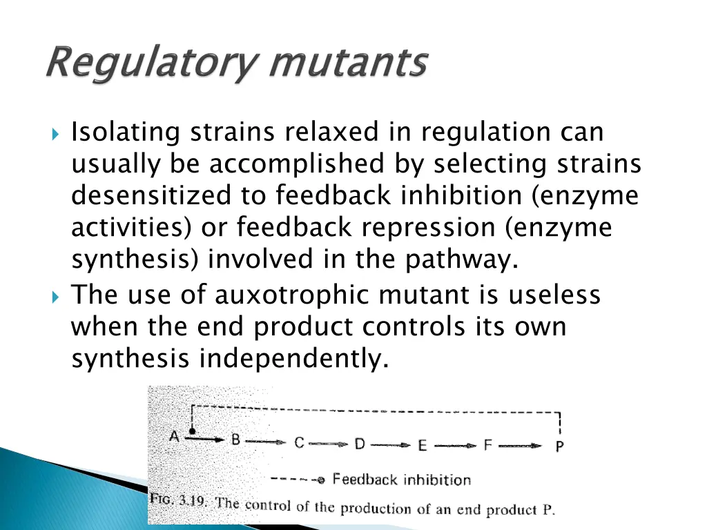 isolating strains relaxed in regulation